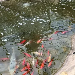 Durham University Botanic Garden - Durham