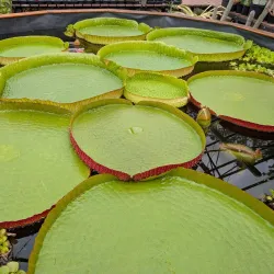 Durham University Botanic Garden - Durham