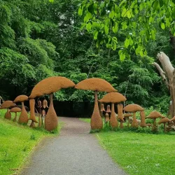 Durham University Botanic Garden - Durham