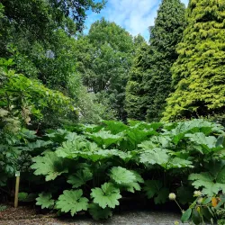 Durham University Botanic Garden - Durham