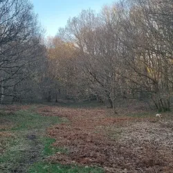 River Wear Walks - Durham