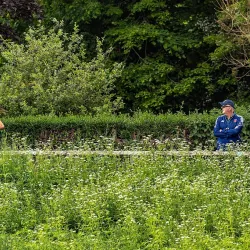 River Wear Walks - Durham