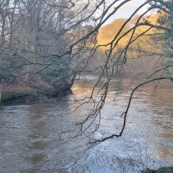 River Wear Walks - Durham