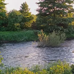 River Wear Walks - Durham