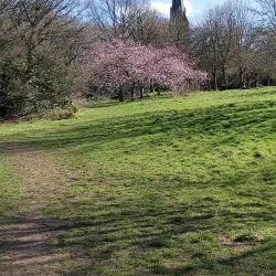 Brent Lodge Park (Bunny Park) - Ealing