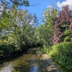 Brent Lodge Park (Bunny Park) - Ealing