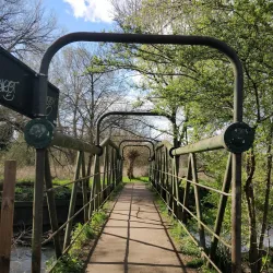 Brent Lodge Park (Bunny Park) - Ealing