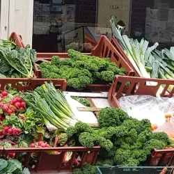 Ealing Farmers' Market - Ealing