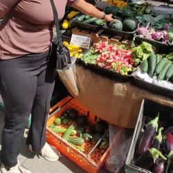 Ealing Farmers' Market - Ealing