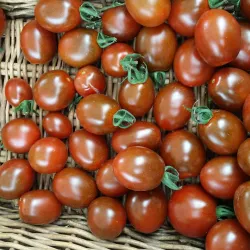 Ealing Farmers' Market - Ealing