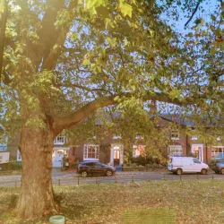 Ealing Green - Ealing