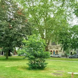 Ealing Green - Ealing