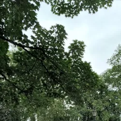 Ealing Green - Ealing