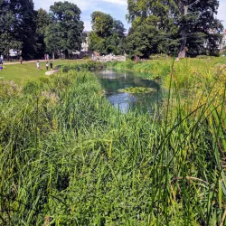 Walpole Park - Ealing