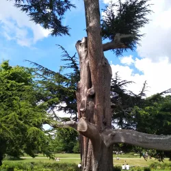 Walpole Park - Ealing