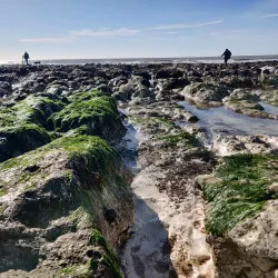 Beachy Head - Eastbourne