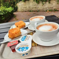 Holywell Tea Gardens - Eastbourne