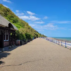 Holywell Tea Gardens - Eastbourne