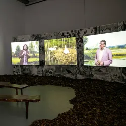 Towner Eastbourne - Eastbourne