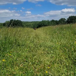 Itchen Valley Country Park - Eastleigh