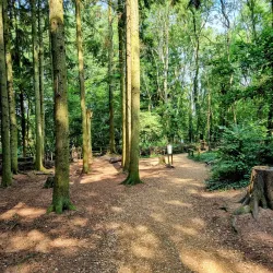 Itchen Valley Country Park - Eastleigh