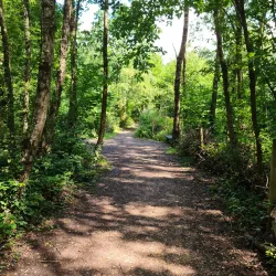 Itchen Valley Country Park - Eastleigh