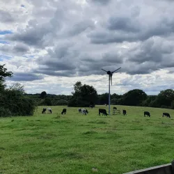 Itchen Valley Country Park - Eastleigh