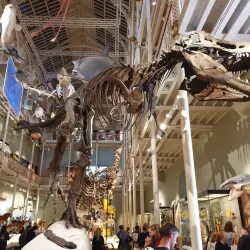 National Museum of Scotland - Edinburgh