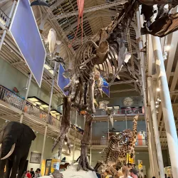 National Museum of Scotland - Edinburgh