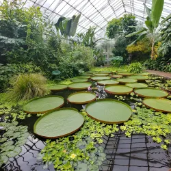 The Royal Botanic Garden Edinburgh - Edinburgh
