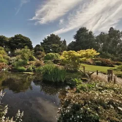 The Royal Botanic Garden Edinburgh - Edinburgh