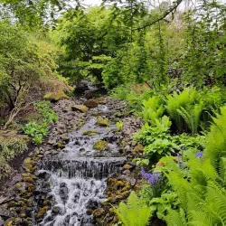 The Royal Botanic Garden Edinburgh - Edinburgh