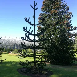 The Royal Botanic Garden Edinburgh - Edinburgh