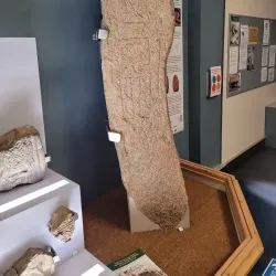 Elgin Museum - Elgin