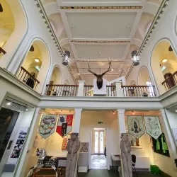 Elgin Museum - Elgin