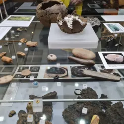 Elgin Museum - Elgin