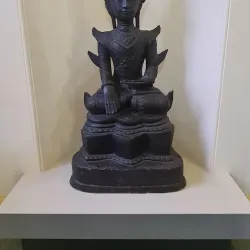 Elgin Museum - Elgin