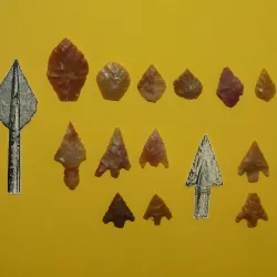 Elgin Museum - Elgin