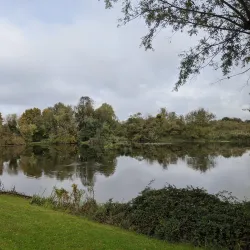 Ely Riverside Walks - Ely