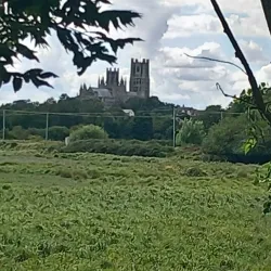 Ely Riverside Walks - Ely