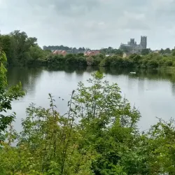 Ely Riverside Walks - Ely