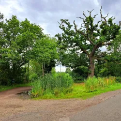 Ely Riverside Walks - Ely