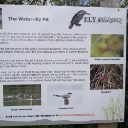 Ely Riverside Walks - Ely