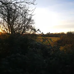 Ely Riverside Walks - Ely