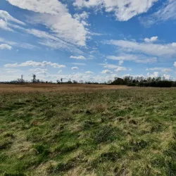 Ely Riverside Walks - Ely