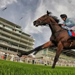 Epsom Downs Racecourse - Epsom