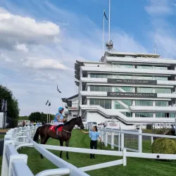 Epsom Downs Racecourse - Epsom