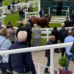Epsom Downs - Epsom