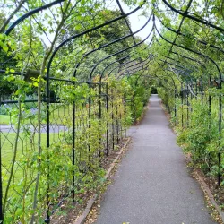 Nonsuch Park - Epsom