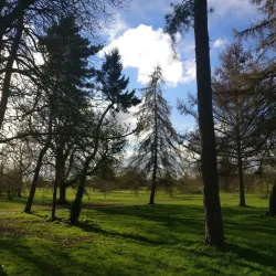 Nonsuch Park - Epsom